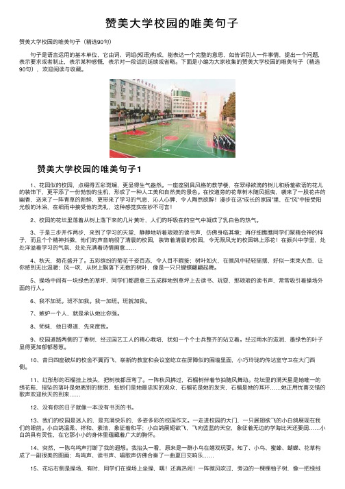 赞美大学校园的唯美句子