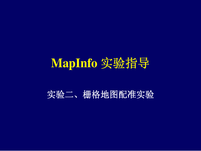 Mapinfo002配准