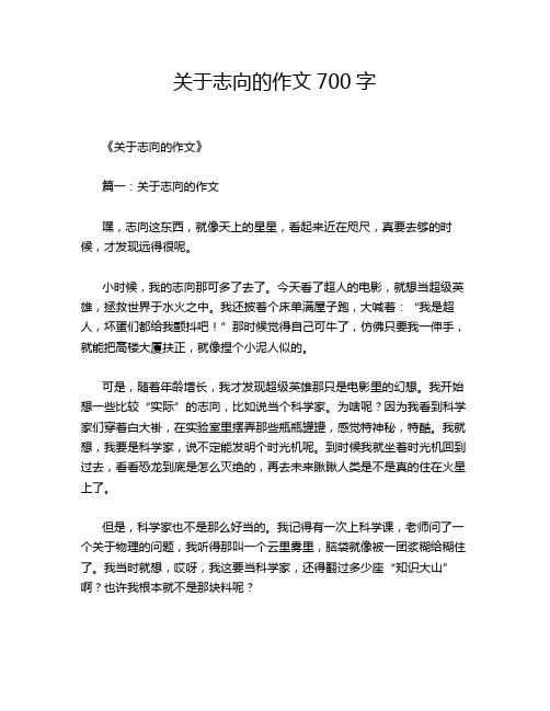 关于志向的作文700字