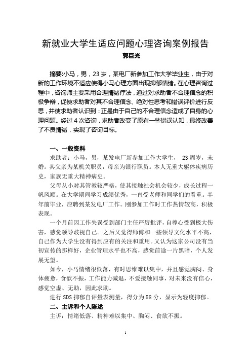 大学毕业生适应问题心理咨询案例报告