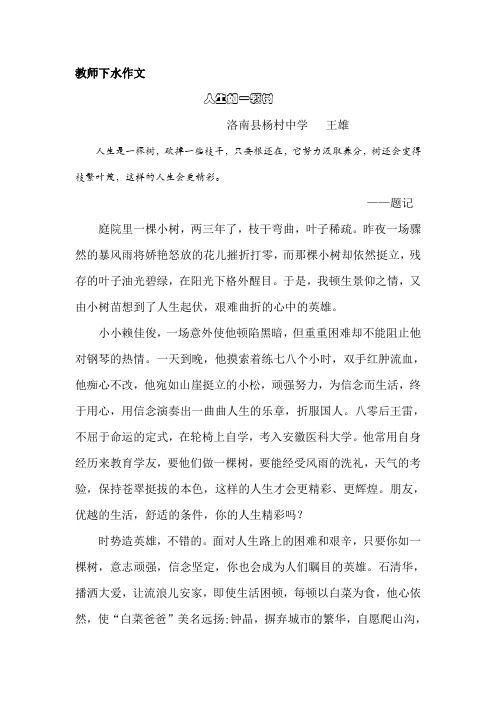 教师下水作文   人生如一颗树