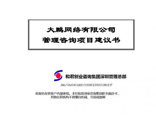 大鹏网络的项目建议书-精品文档