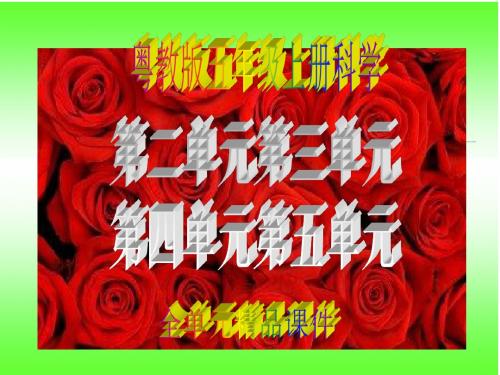 粤教版五年级上册科学第二单元第三单元第四单元第五单元全单元精品课件