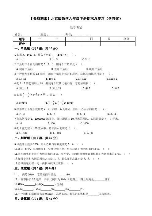 北京版数学六年级下册期末总复习(含答案)