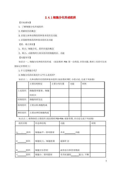 七年级生物上册 2.4.1 细胞分化形成组织导学案 (新版)