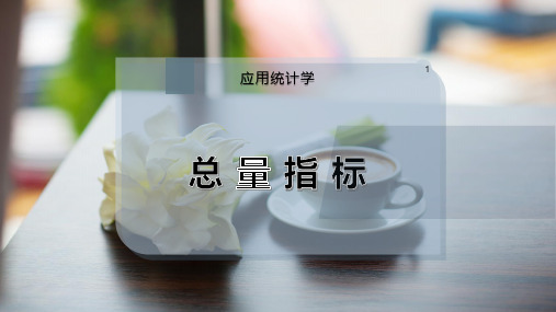 总 量 指 标