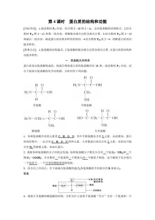 苏教版必修一 蛋白质的结构和功能 学案