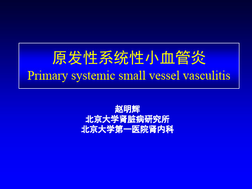 原发性系统性小血管炎共40页文档