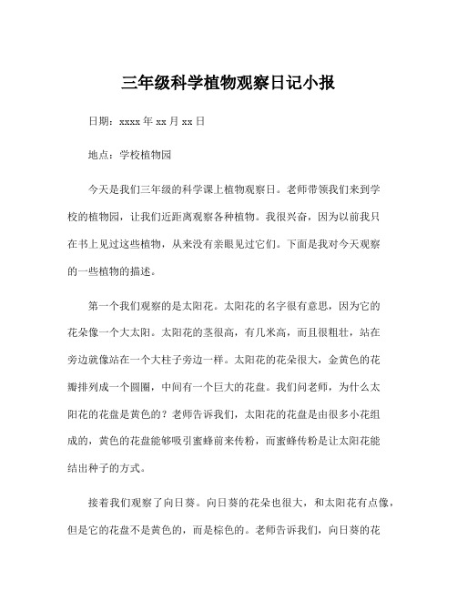 三年级科学植物观察日记小报