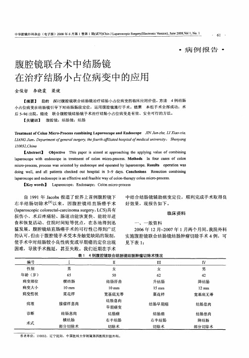 腹腔镜联合术中结肠镜在治疗结肠小占位病变中的应用