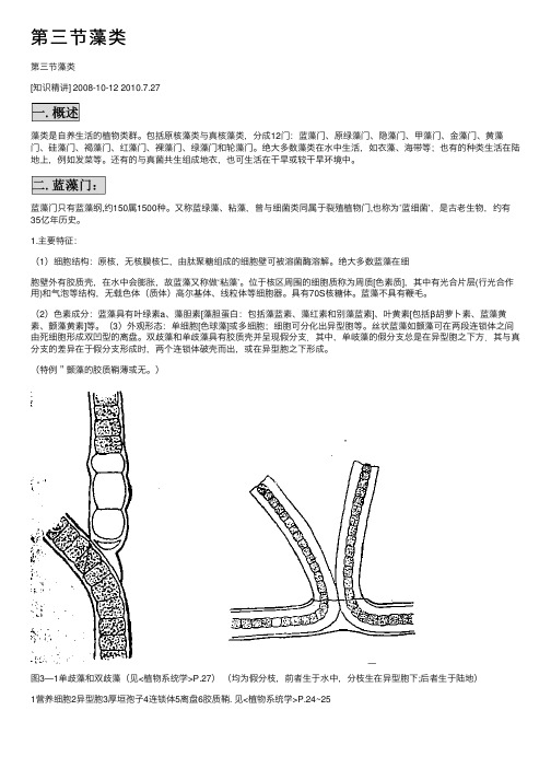 第三节藻类——精选推荐