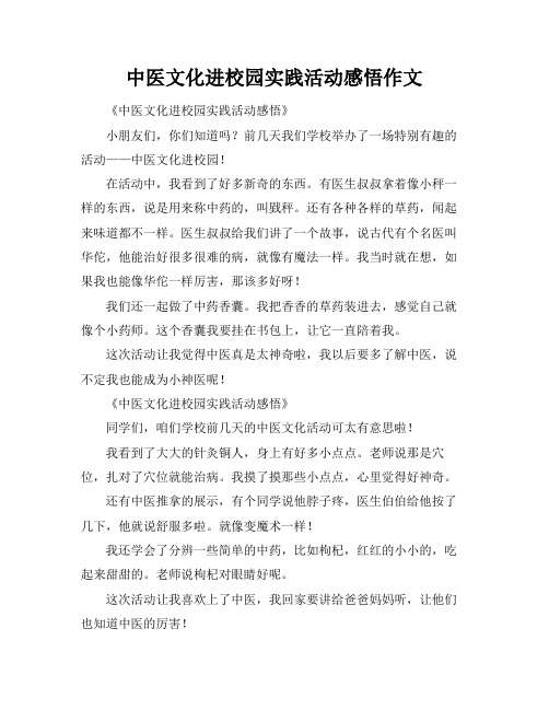 中医文化进校园实践活动感悟作文