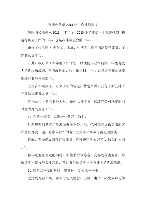 公司业务员2013年工作计划范文