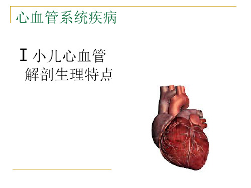 小儿心血管解剖生理特点