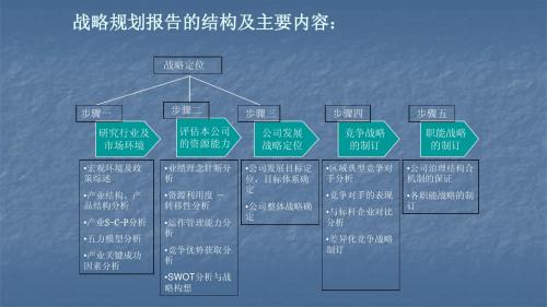 2战略规划报告的结构及主要内容