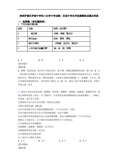 深圳罗湖区罗湖中学初三化学中考试题∶历届中考化学真题模拟试题及答案