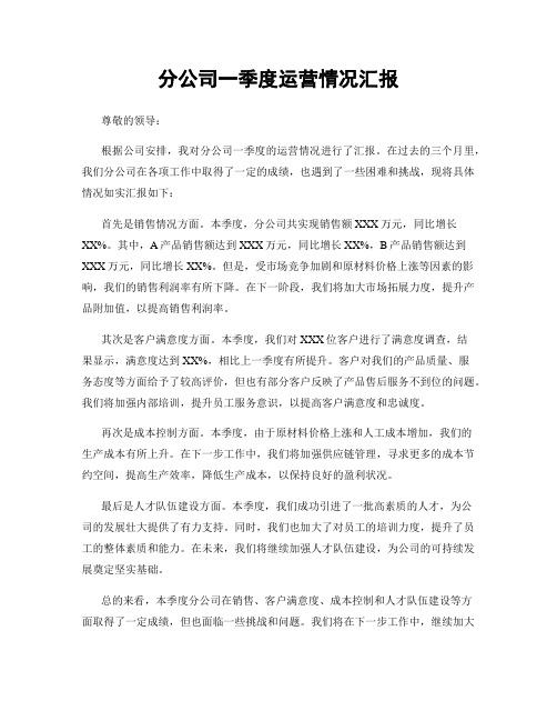 分公司一季度运营情况汇报