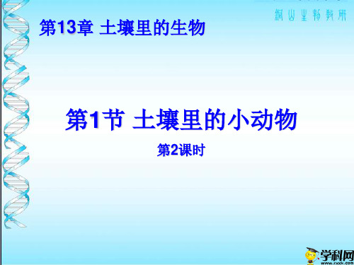 江苏省徐州市教育教学研究室苏科版七年级生物下册课件：131土壤里的小动物(共21张PPT)