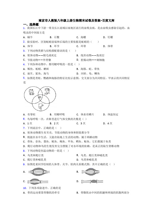 南京市人教版八年级上册生物期末试卷及答案-百度文库