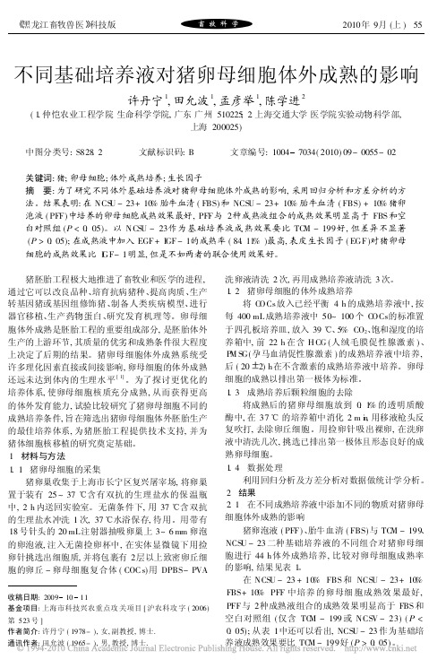 不同基础培养液对猪卵母细胞体外成熟的影响