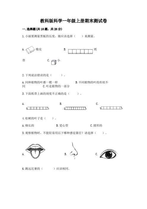 教科版科学一年级上册期末测试卷带答案(新)