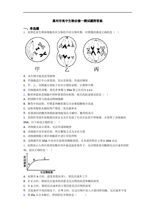 惠州市高中生物必修一测试题附答案