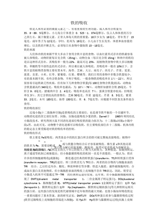 铁的吸收