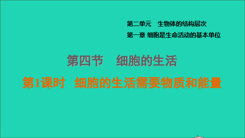 2022七年级生物上册 第二单元 生物体的结构层次第一章 细胞是生命活动的基本单位第4节 细胞的生活