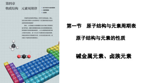 碱金属元素卤族元素课件高一上学期化学人教版