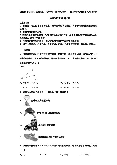 2024届山东省威海市文登区文登实验,三里河中学物理八年级第二学期期末监测试题含解析