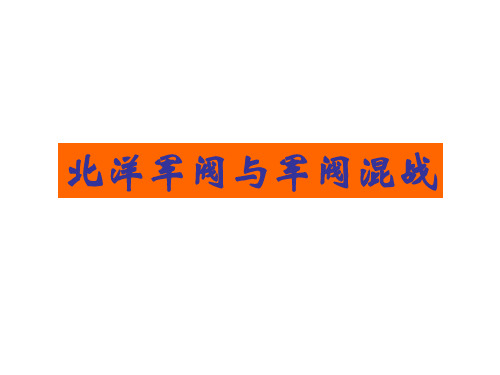 人教版九年级历史与社会上册第一单元第二课第三框《北洋政府与军阀混战》教学课件(共24张PPT)