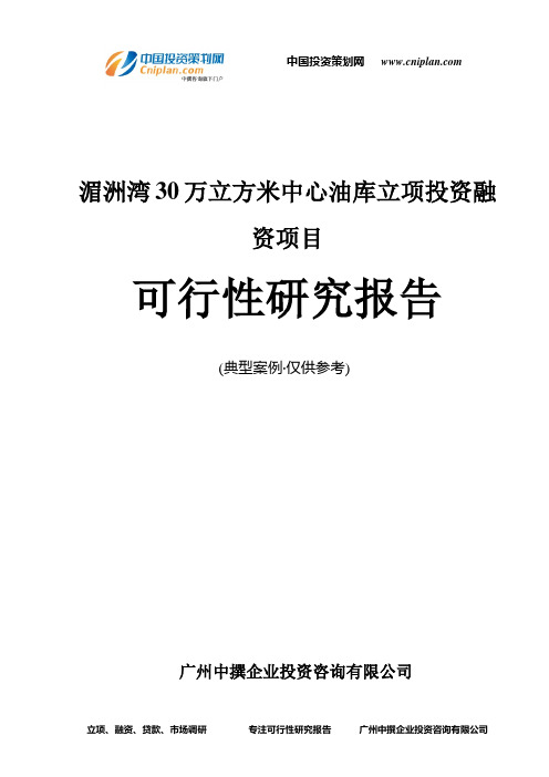 湄洲湾30万立方米中心油库融资投资立项项目可行性研究报告(中撰咨询)