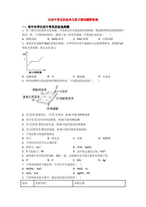 生活中常见的盐单元复习测试题附答案