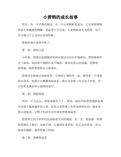 小黄鸭的成长故事