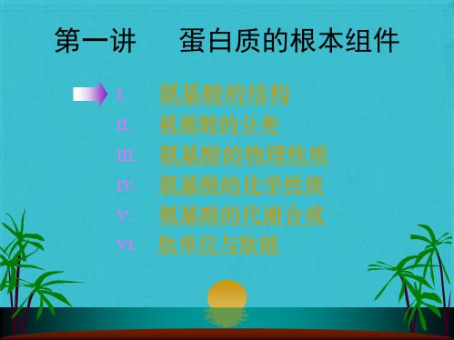 蛋白质的基本组件(共68张PPT)