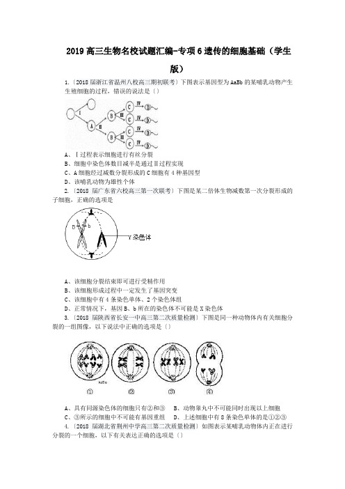 2019高三生物名校试题汇编-专项6遗传的细胞基础(学生版)