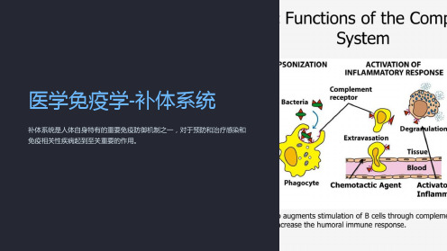 医学免疫学-补体系统