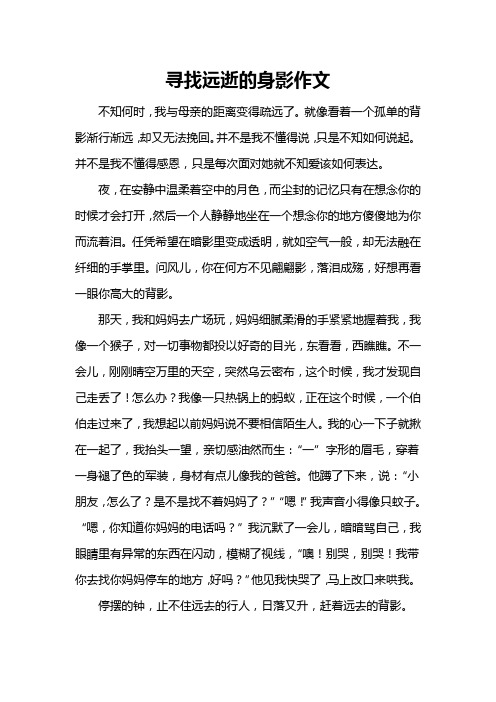 寻找远逝的身影作文