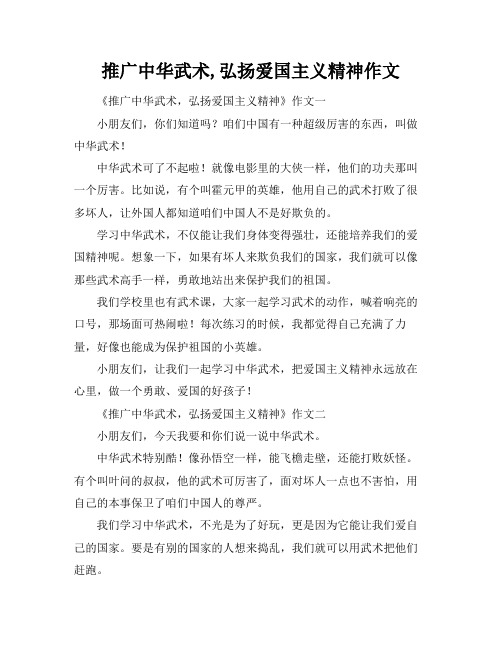 推广中华武术,弘扬爱国主义精神作文