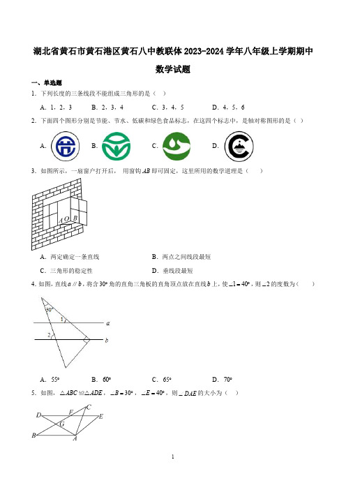 湖北省黄石市黄石港区黄石八中教联体2023-2024学年八年级上学期期中数学试题