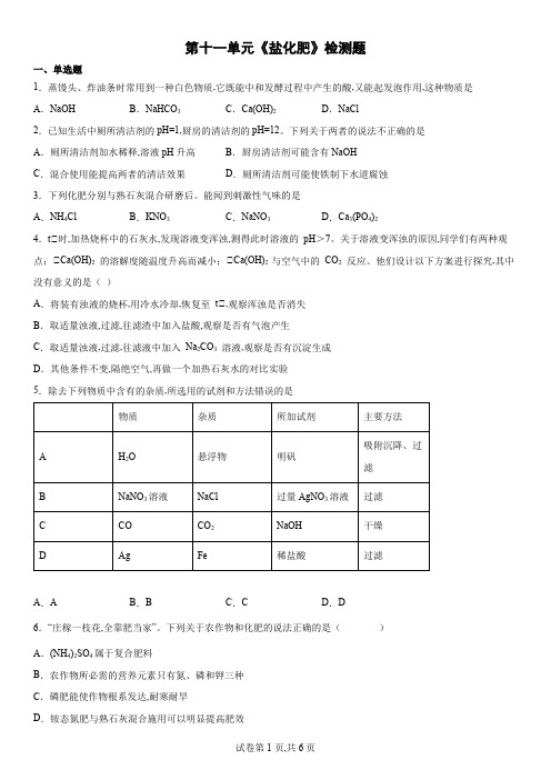 人教版九年级化学下册第十一单元盐化肥检测题 (word版 含答案)