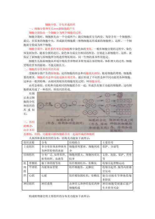 人教版九年级生物中考复习_细胞分裂、分化形成组织学