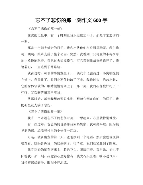 忘不了悲伤的那一刻作文600字