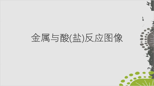 2020人教版化学高考复习：金属与酸(盐)反应图像 (共32张PPT)