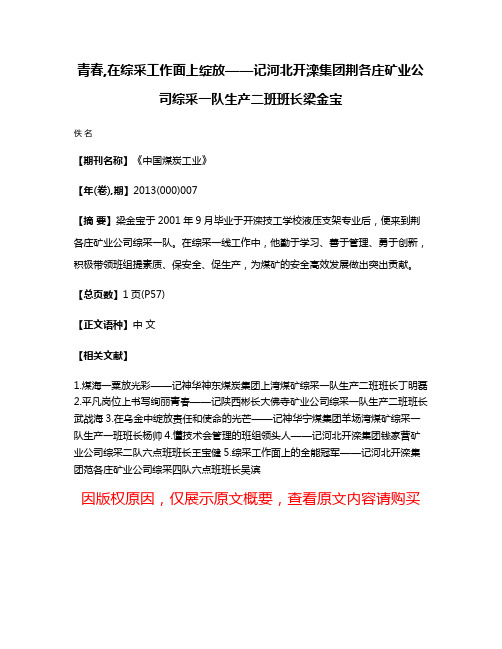 青春,在综采工作面上绽放——记河北开滦集团荆各庄矿业公司综采一队生产二班班长梁金宝