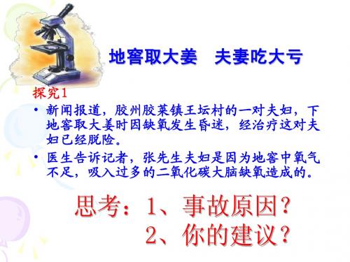 浙江省温州市平阳三中2012-2013学年高二生物《34细胞呼吸》课件1