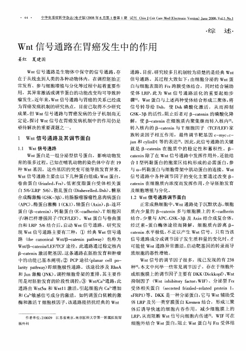Wnt信号通路在胃癌发生中的作用