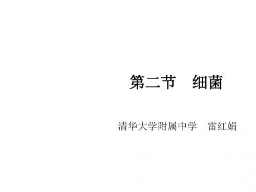 人教版生物八年级上册5.4.2《细菌》教学课件