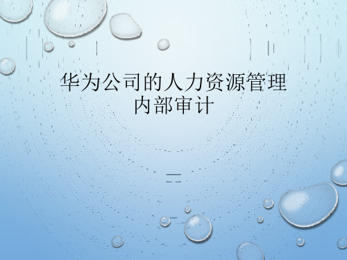 华为人力资源管理内部审计——第六组