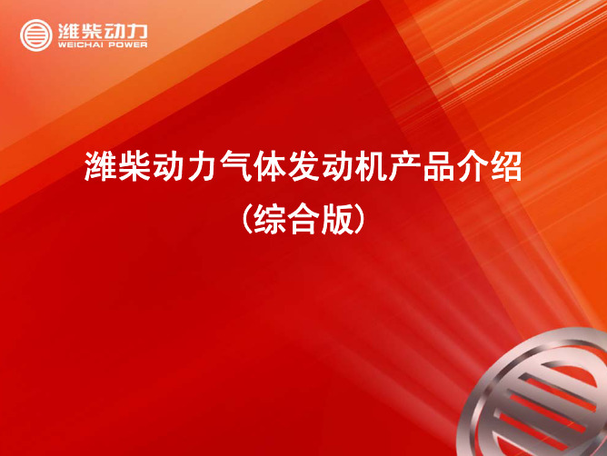 潍柴动力气体发动机产品介绍(综合)